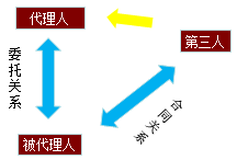 建設(shè)工程代理法律關(guān)系-問題