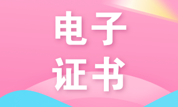 電子證書(shū) 電子證書(shū)